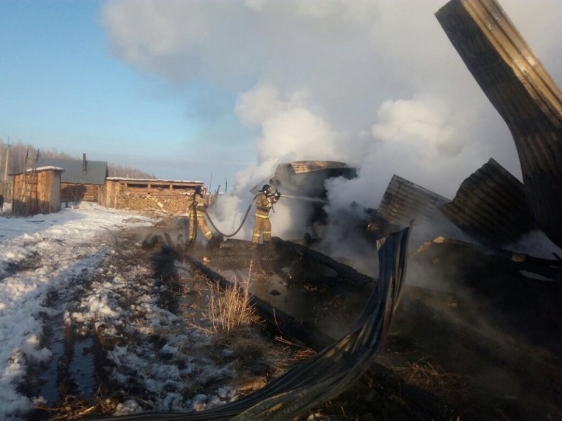 СК начал проверку по факту гибели матери и двоих детей на пожаре в Иркутской области