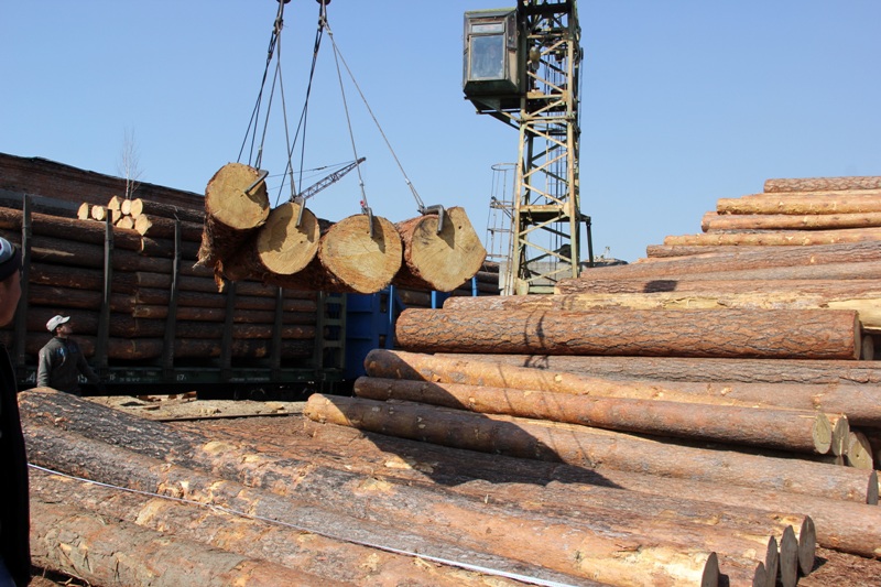 В Иркутской области из-за контрабанды леса в Китай возбуждено уголовное дело