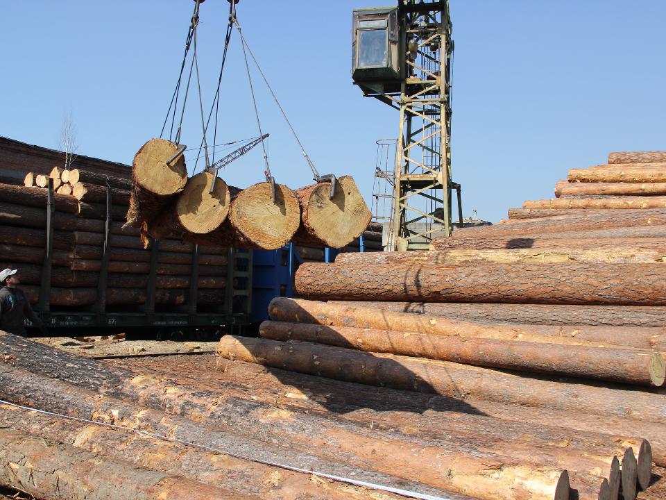 В Иркутской области фирма - экспортер леса спрятала от таможни более четырнадцати миллионов рублей