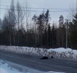 В Усть-Илимске задержан водитель, сбивший женщину и скрывшийся с места ДТП