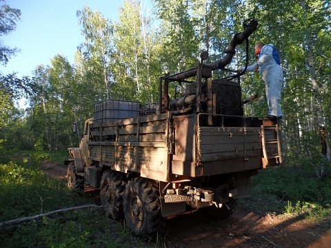 Бороться с воздуха будут с сибирским коконопрядом в лесах Иркутской области в 2018 году