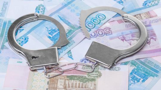 Иркутские полицейские раскрыли аферу с трудоустройством беременных и фальшивыми выплатами