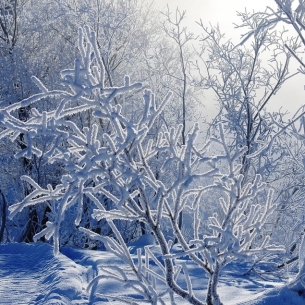 Министерство ЖКХ Прибайкалья ввело режим круглосуточного дежурства на время холодов