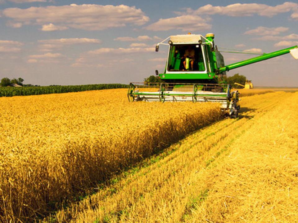 Федеральные субсидии позволят аграриям Приангарья дополнительно привлечь в отрасль 1,8 млрд рублей