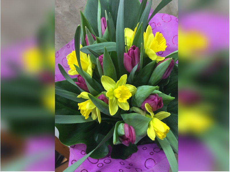 Более 80 тысяч цветов к весенним праздникам вырастили в МУПЭП «Горзеленхоз» города Иркутска