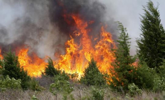 Повышенный риск лесных пожаров ожидается в Иркутской области
