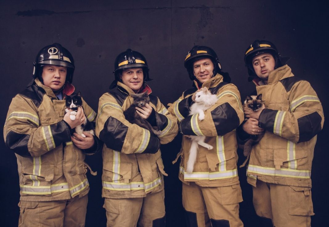 Фотофакт. Пожарные и котики
