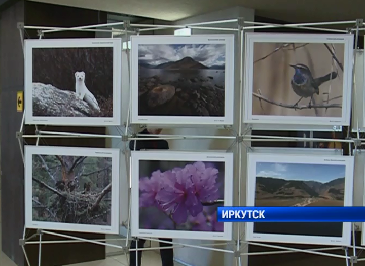 Экологическая фотовыставка Байкала