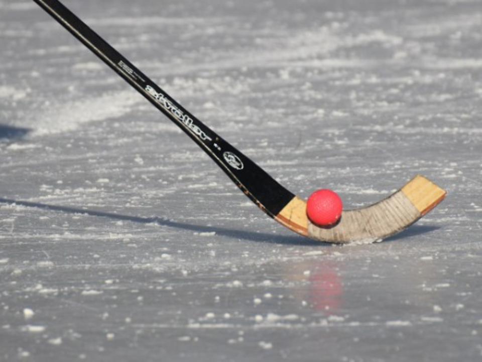 В Приангарье завершился Кубок Губернатора по хоккею с мячом среди любителей