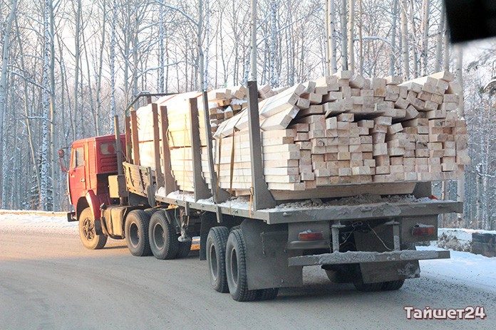 Мэра района в Красноярском крае лишили должности за махинации с лесом