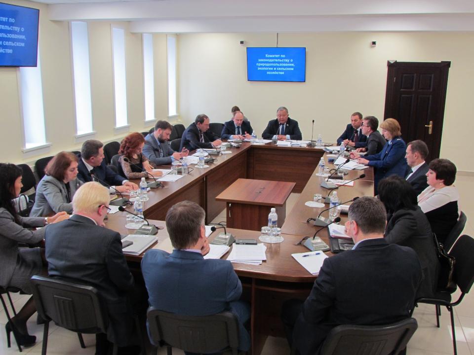 Иркутские активисты ОНФ представили инициативу по "зеленому щиту" на заседании профильного комитета Заксобрания