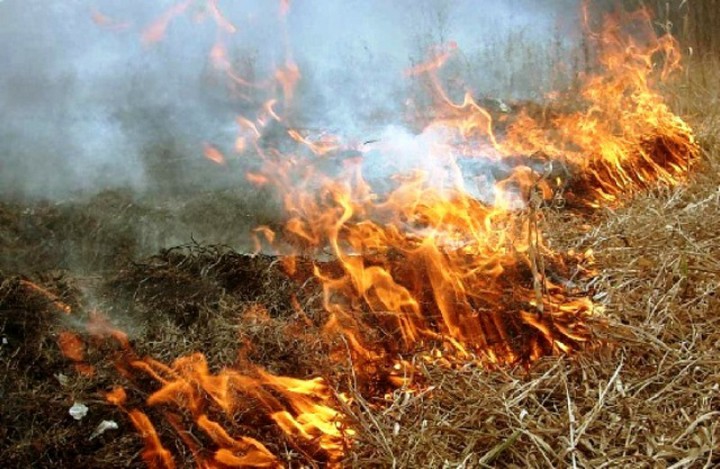 В Иркутской области ввели запрет на разведение костров и выжигание сухой травы