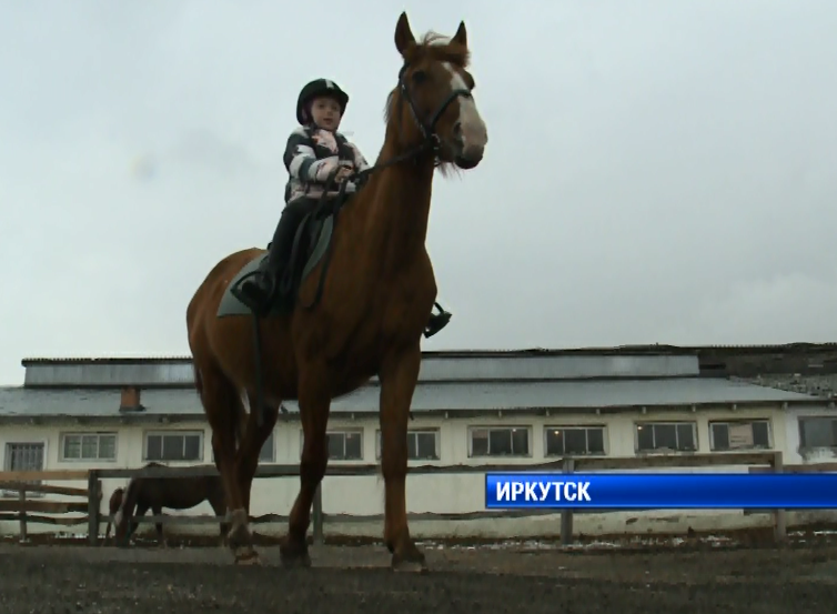 В Иркутске стартуют соревнования по конному спорту среди детей