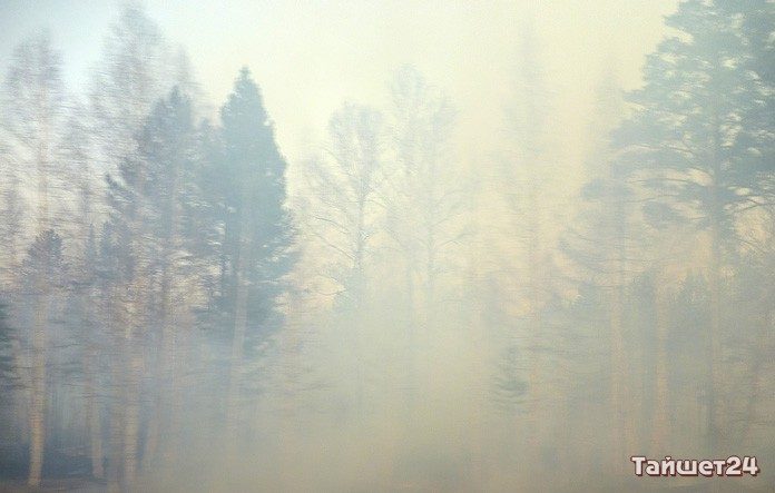 Сезон лесных пожаров открыт. В Иркутской области зарегистрированы первые очаги
