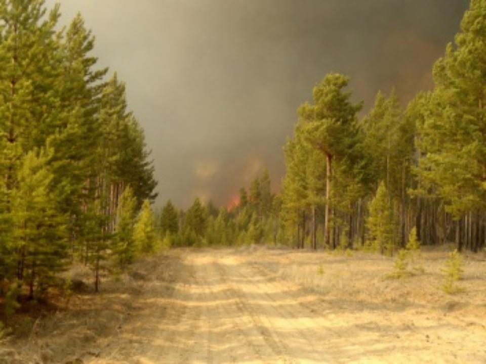 В Иркутской области зарегистрированы первые в этом году лесные пожары