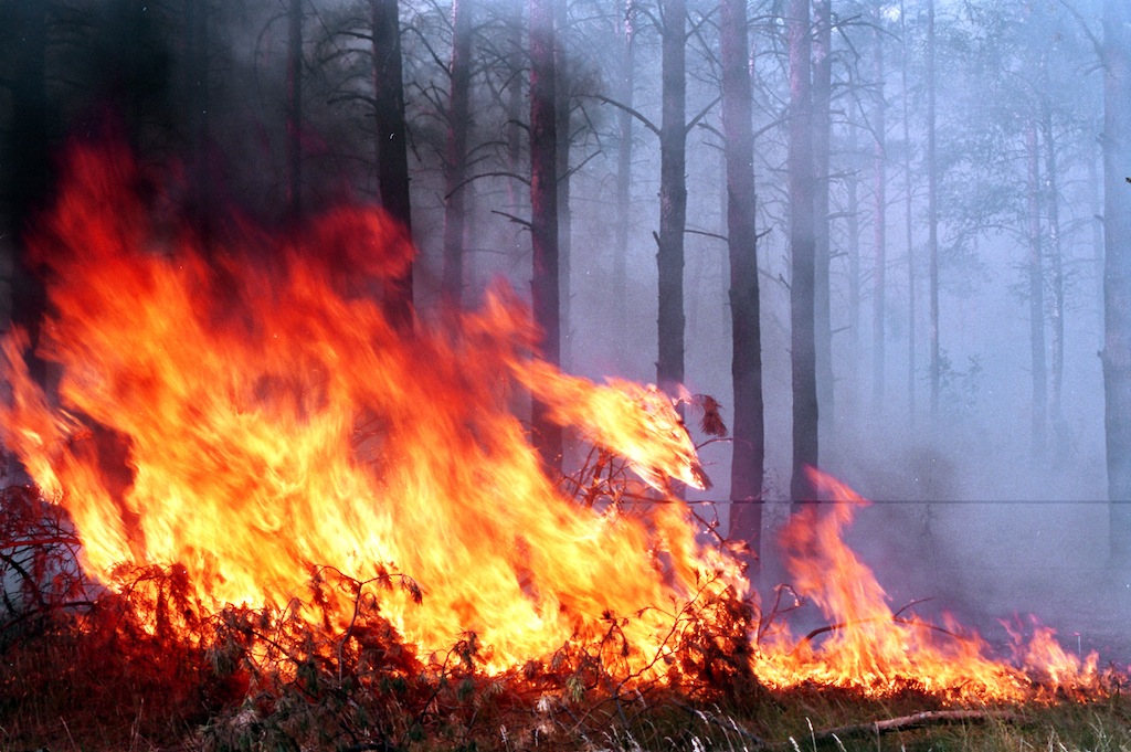 Пожары на площади более 130-ти гектаров потушили за сутки спасатели в Иркутской области