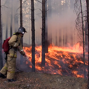 Пожарные, лесники и местные жители отстояли от огня село в Прибайкалье