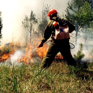 Восемь лесных пожаров потушили в Прибайкалье за сутки
