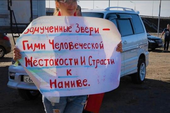 Зоозащитники атаковали приехавший на один день в Иркутск цирк-шапито