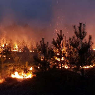 Лесники потушили возникший по вине населения пожар возле деревни в Усольском районе