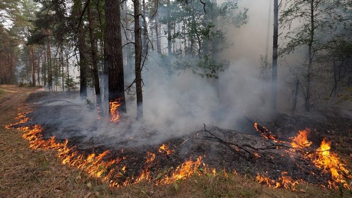 Леса в Чунском районе продолжают гореть