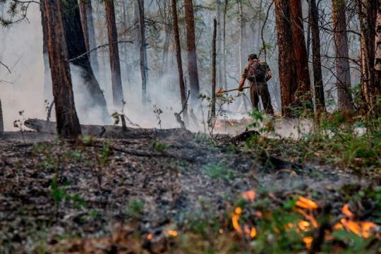 Горим ясно и прекрасно: пожары охватывают леса Иркутской области