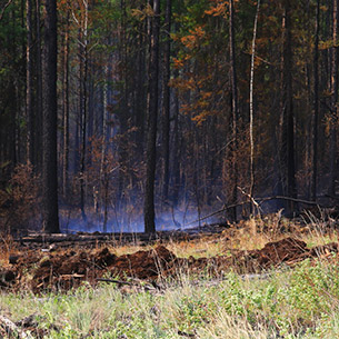 В Прибайкалье за три предыдущих дня потушили 19 лесных пожаров