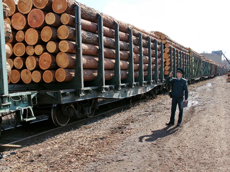 На пунктах отгрузки древесины на севере Иркутской области царит бардак