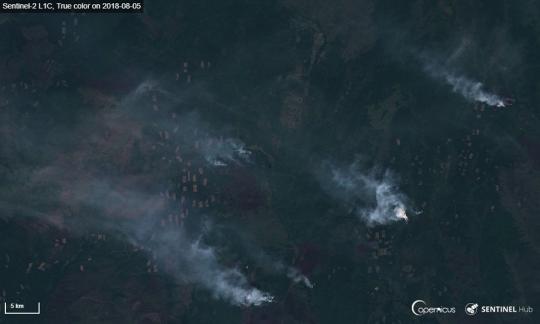 Лесные пожары в Иркутской области снова остались не замеченными правительством