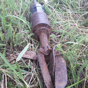 В лесу в Шелеховском районе обнаружили артиллерийский снаряд