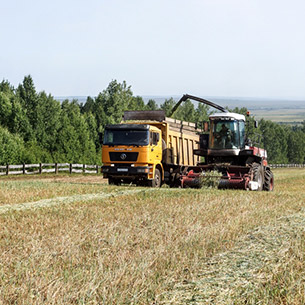 Поддержку аграриев увеличат в Прибайкалье в рамках первой «пятилетки»