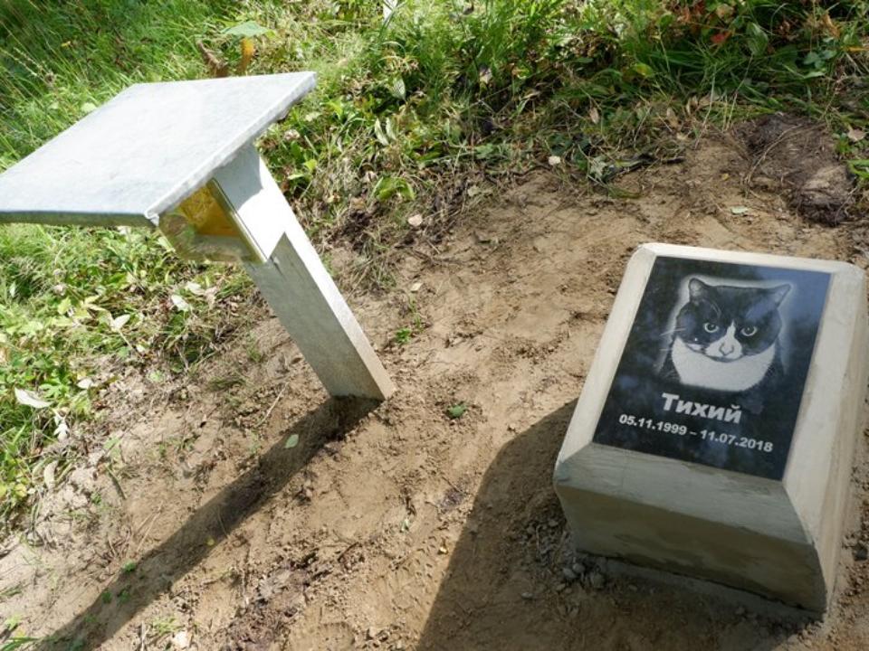Стихийное кладбище домашних животных под Ангарском уничтожат