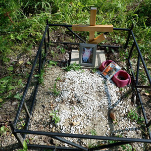 Под Ангарском ликвидируют нелегальное кладбище домашних животных