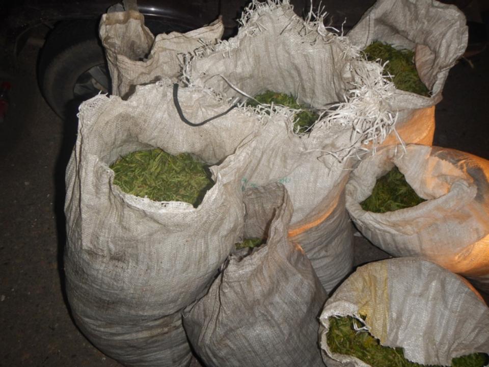 В салоне остановленных в Зиминском районе "Жигулей" нашли 40 кг марихуаны