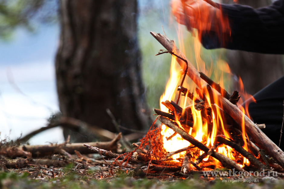 13-летний подросток получил ожоги, разжигая костёр в лесу