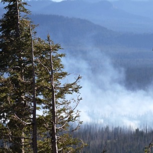 В Прибайкалье зарегистрированы первые лесные пожары