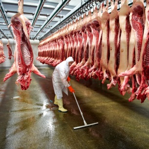 После вспышки свиной чумы в Прибайкалье предпринимателей заподозрили в «отмывке мяса»