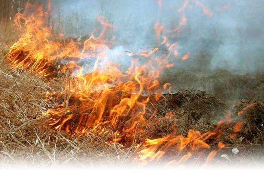 Километровый фронт огня едва не добрался до садоводства в Приангарье