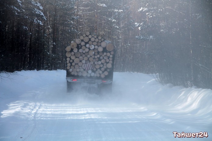Тайшетский район на пороге катастрофы. Экспорт древесины в Китай могут запретить