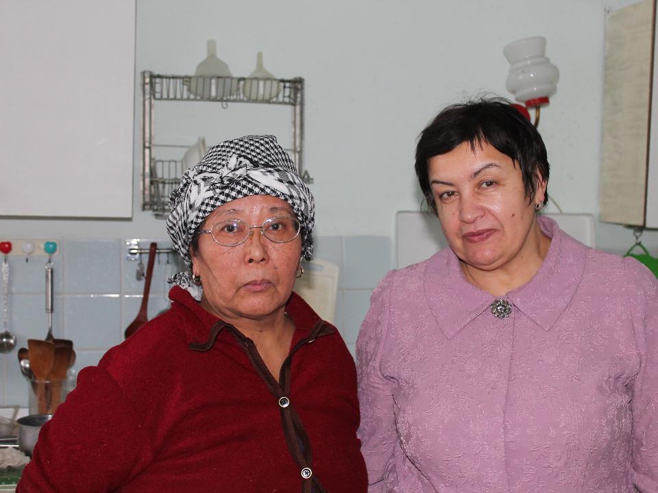 Вмешательство депутата ЗС помогло наладить электроснабжение в деревне Кучугского района