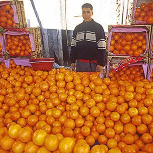 В Иркутской области подорожали помидоры и подешевели апельсины