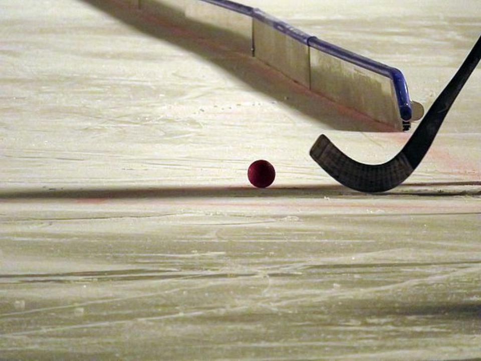 В Иркутске пройдет чемпионат России по хоккею с мячом среди женских команд