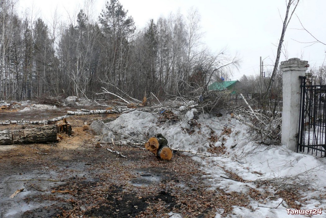 В Тайшетском ЦПКиО снова спиливают деревья