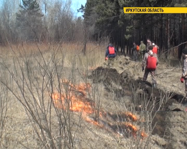 550 миллионов рублей направят на тушение лесов в Иркутской области в этом году