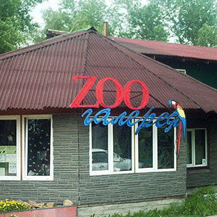 Иркутская зоогалерея переедет на «Фортуну» до начала лета