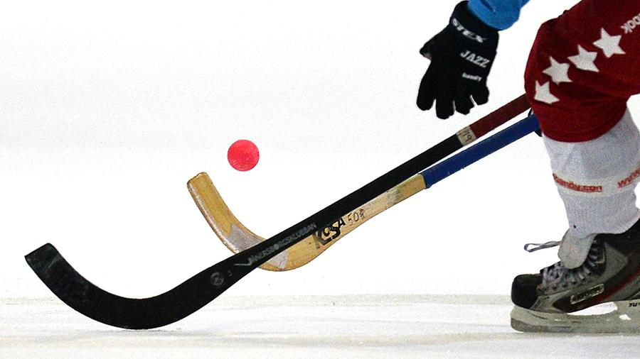 Федерация хоккея с мячом Иркутской области подвела итоги уходящего сезона