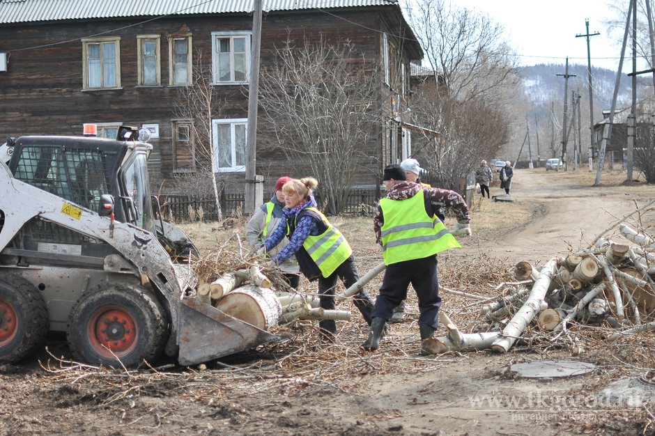 В Правобережном районе Братска управляющие компании ведут полномасштабную обрезку деревьев