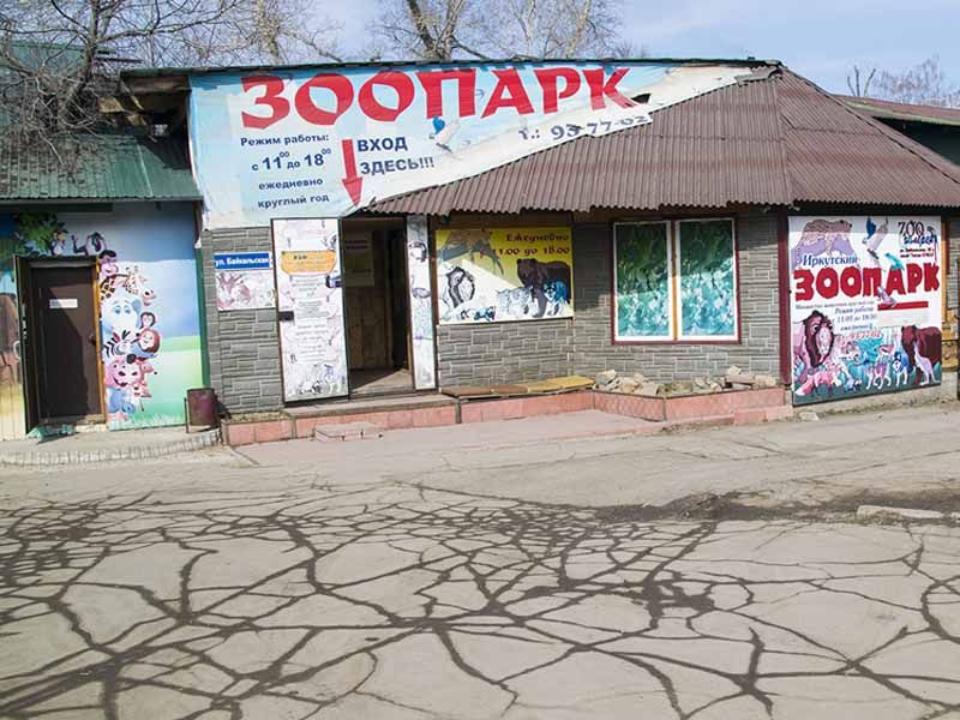 "Квартирный вопрос" с иркутской зоогалереей отложили до лета