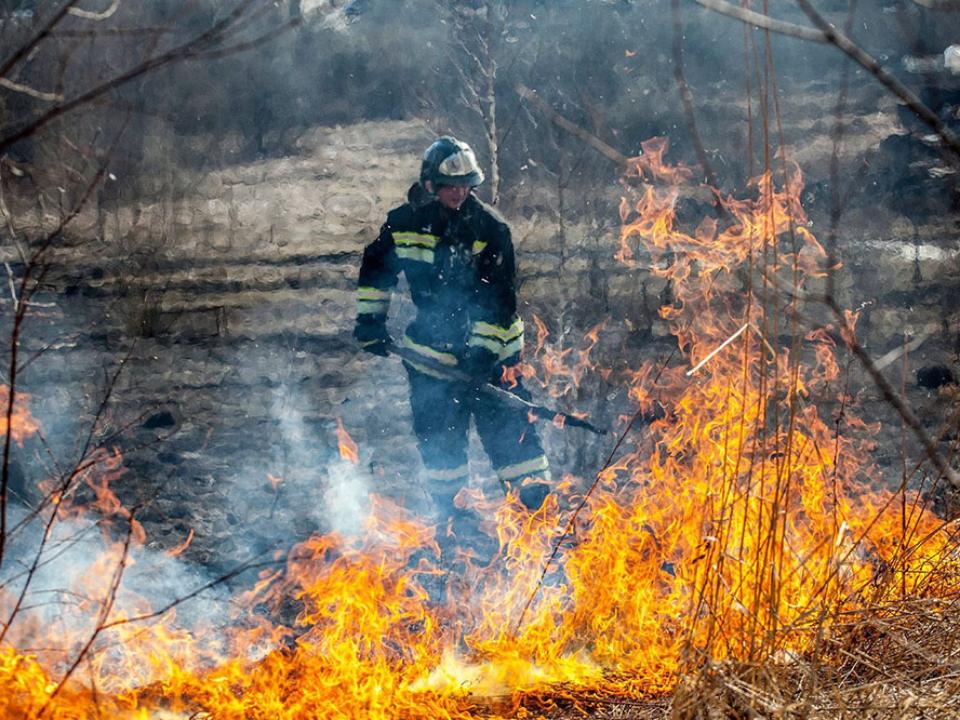 Пять лесных пожаров ликвидировали за выходные в Иркутской области