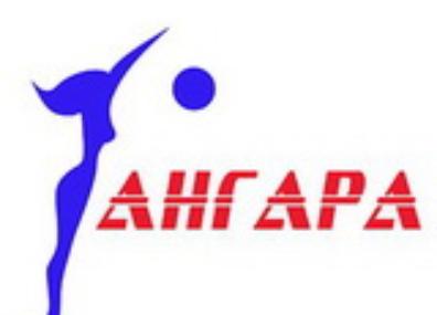 Волейбольная «Ангара» на выезде уступила «Импульсу» из Волгодонска